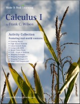 Make It Real Learning Calculus workbook