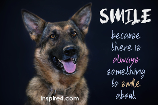 Smiling doggie - Smile, because there is always something to smile about