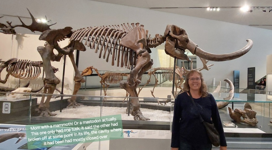 skeleton of a mastodon