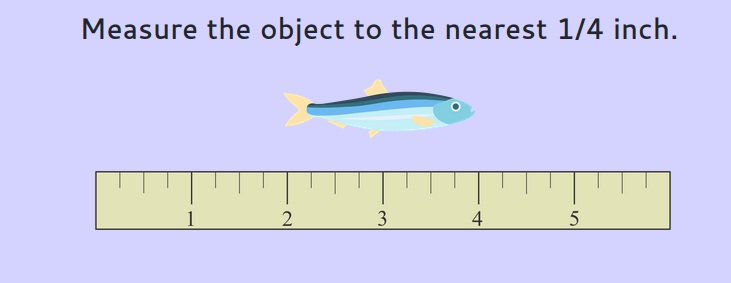 ruler and fish